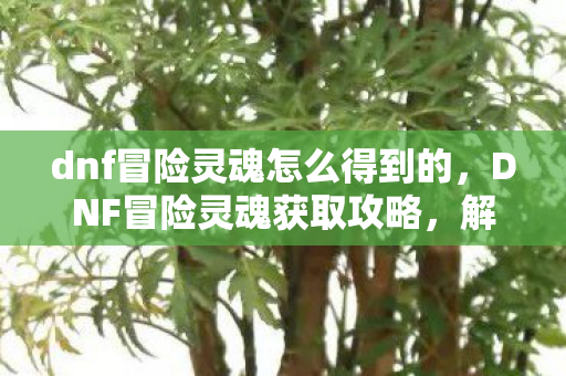 dnf冒险灵魂怎么得到的,DNF冒险灵魂获取攻略,解锁角色潜能,提升战斗力的关键 dnf冒险灵魂怎么得到的,DNF冒险灵魂获取攻略,解锁角色潜能,提升战斗力的关键