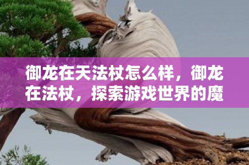 御龙在天法杖怎么样，御龙在法杖，探索游戏世界的魔法之旅