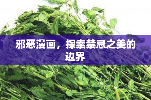 邪恶漫画，探索禁忌之美的边界
