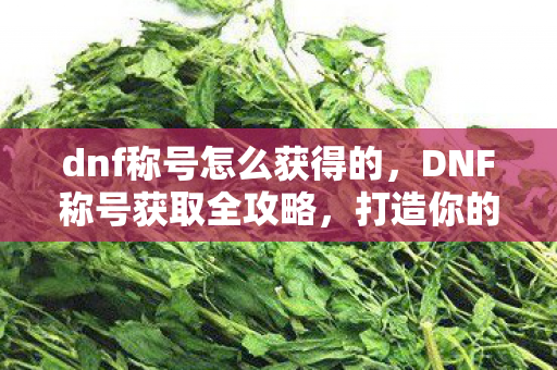 dnf称号怎么获得的，DNF称号获取全攻略，打造你的专属荣耀