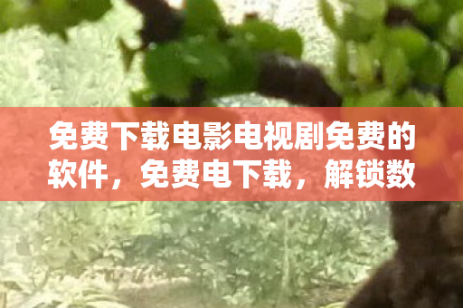 免费下载电影电视剧免费的软件,免费电下载,解锁数字时代的便捷与风险 免费下载电影电视剧免费的软件,免费电下载,解锁数字时代的便捷与风险