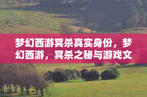 梦幻西游冥杀真实身份,梦幻西游,冥杀之秘与游戏文化的深度探索 梦幻西游冥杀真实身份,梦幻西游,冥杀之秘与游戏文化的深度探索