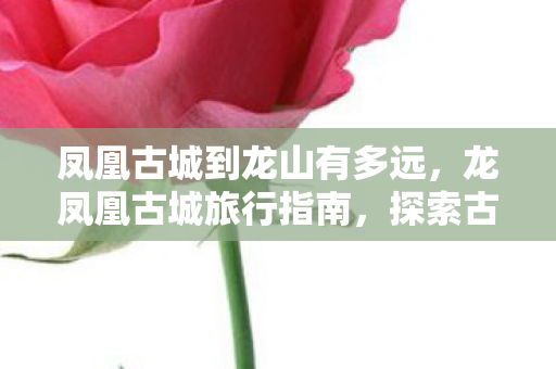 凤凰古城到龙山有多远,龙凤凰古城旅行指南,探索古老而神秘的文化遗产 凤凰古城到龙山有多远,龙凤凰古城旅行指南,探索古老而神秘的文化遗产