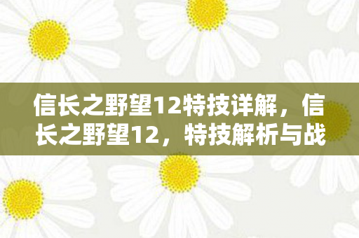 信长之野望12特技详解,信长之野望12,特技解析与战略应用 信长之野望12特技详解,信长之野望12,特技解析与战略应用
