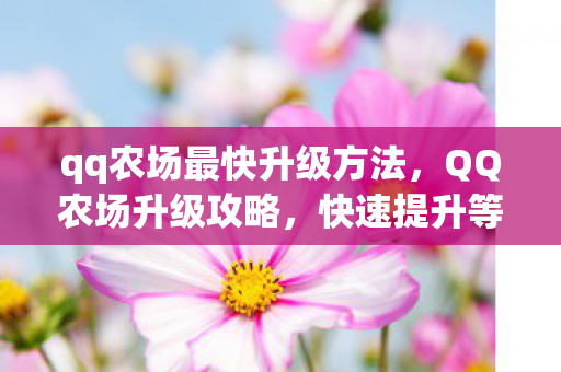qq农场最快升级方法，QQ农场升级攻略，快速提升等级的方法
