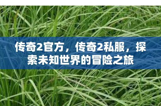 传奇2官方,传奇2私服,探索未知世界的冒险之旅 传奇2官方,传奇2私服,探索未知世界的冒险之旅