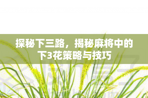 探秘下三路,揭秘麻将中的下3花策略与技巧 探秘下三路,揭秘麻将中的下3花策略与技巧