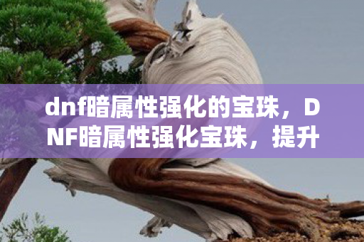 dnf暗属性强化的宝珠，DNF暗属性强化宝珠，提升战斗力的神秘力量