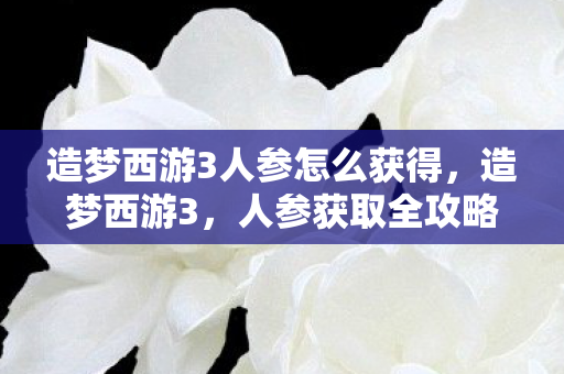 造梦西游3人参怎么获得,造梦西游3,人参获取全攻略 造梦西游3人参怎么获得,造梦西游3,人参获取全攻略