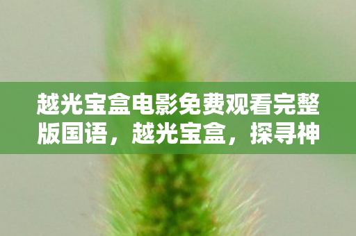 越光宝盒电影免费观看完整版国语，越光宝盒，探寻神奇的宝藏与人生的启示