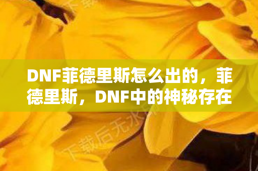 DNF菲德里斯怎么出的，菲德里斯，DNF中的神秘存在