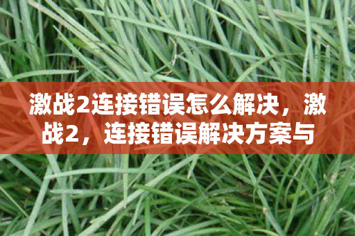 激战2连接错误怎么解决,激战2,连接错误解决方案与游戏优化指南 激战2连接错误怎么解决,激战2,连接错误解决方案与游戏优化指南