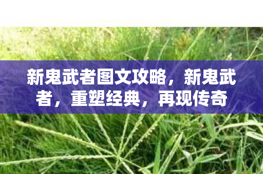 新鬼武者图文攻略图片