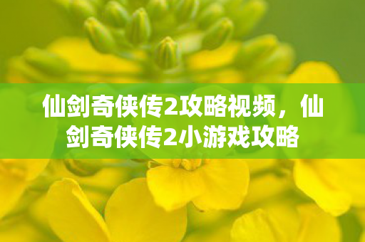 仙剑奇侠传2攻略视频，仙剑奇侠传2小游戏攻略