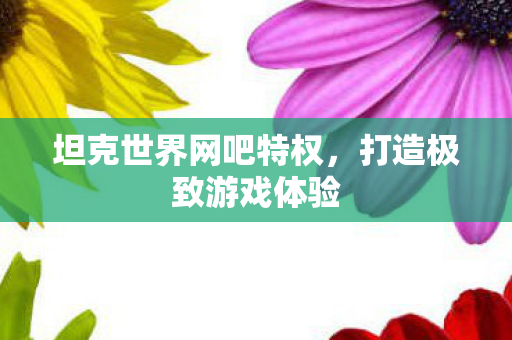 坦克世界网吧特权，打造极致游戏体验