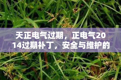 天正电气过期，正电气2014过期补丁，安全与维护的警钟