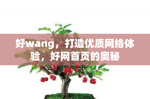 好wang,打造优质网络体验,好网首页的奥秘 好wang,打造优质网络体验,好网首页的奥秘