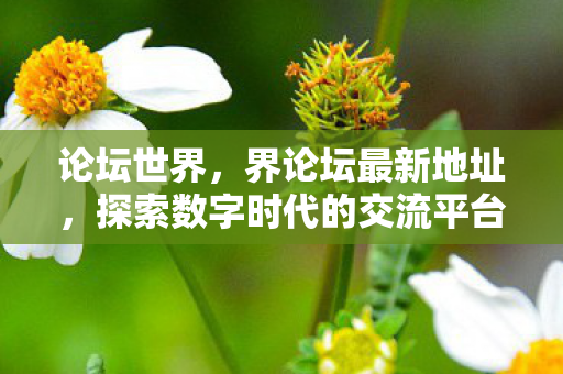 论坛世界，界论坛最新地址，探索数字时代的交流平台