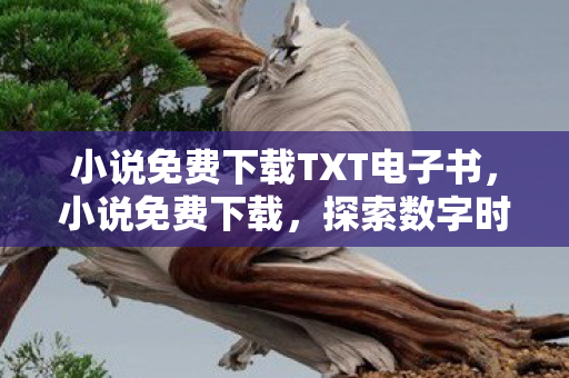 小说免费下载TXT电子书，小说免费下载，探索数字时代的阅读新方式