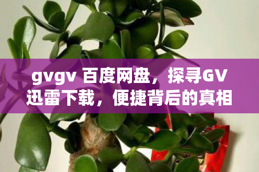 gvgv 百度网盘,探寻GV迅雷下载,便捷背后的真相 gvgv 百度网盘,探寻GV迅雷下载,便捷背后的真相