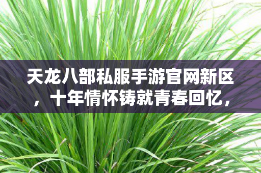 天龙八部私服手游官网新区图片