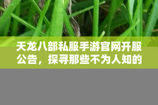 探寻那些不为人知的精彩玩法天龙八部私服图片