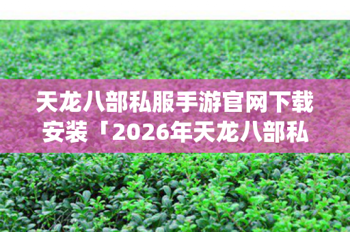 2026年天龙八部私服手游官网下载安装热度榜图片