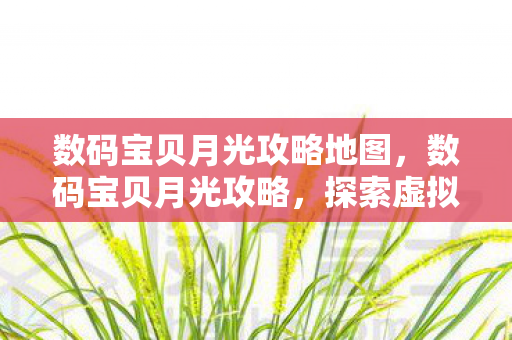 数码宝贝月光攻略地图，数码宝贝月光攻略，探索虚拟世界的奇妙旅程