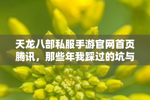 那些年我踩过的坑与摸出的野路子天龙私服图片