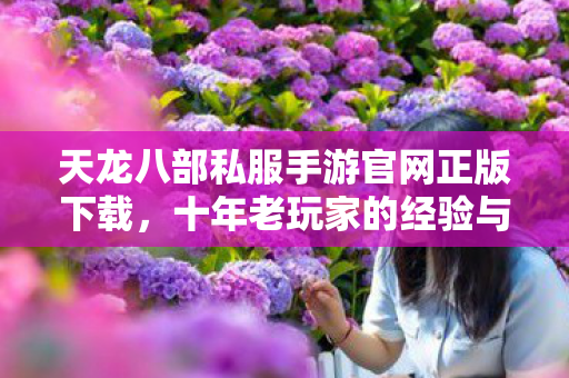 十年老玩家的经验与2026年私服圈新动态天龙八部私服图片