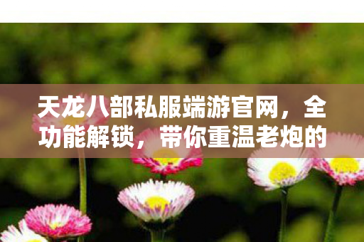 天龙八部私服端游官网,全功能解锁,带你重温老炮的热血江湖天龙私服 天龙八部私服端游官网,全功能解锁,带你重温老炮的热血江湖天龙私服