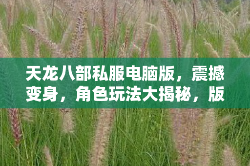 天龙八部私服电脑版,震撼变身,角色玩法大揭秘,版本惊喜超乎想象!天龙私服 天龙八部私服电脑版,震撼变身,角色玩法大揭秘,版本惊喜超乎想象!天龙私服