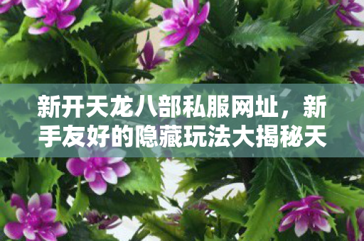 新开天龙八部私服网址,新手友好的隐藏玩法大揭秘天龙八部私服 新开天龙八部私服网址,新手友好的隐藏玩法大揭秘天龙八部私服