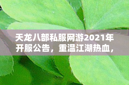 天龙八部私服网游2021年开服公告,重温江湖热血,续写传奇篇章天龙八部私服 天龙八部私服网游2021年开服公告,重温江湖热血,续写传奇篇章天龙八部私服