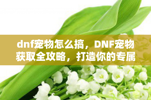 dnf宠物怎么搞,DNF宠物获取全攻略,打造你的专属萌宠 dnf宠物怎么搞,DNF宠物获取全攻略,打造你的专属萌宠