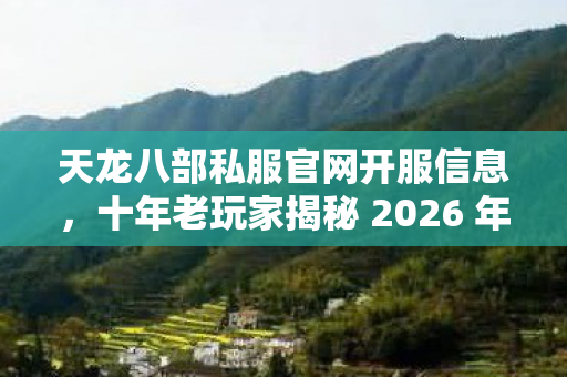 十年老玩家揭秘 2026 年私服圈最新避坑指南天龙私服图片