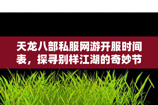 探寻别样江湖的奇妙节奏天龙私服图片