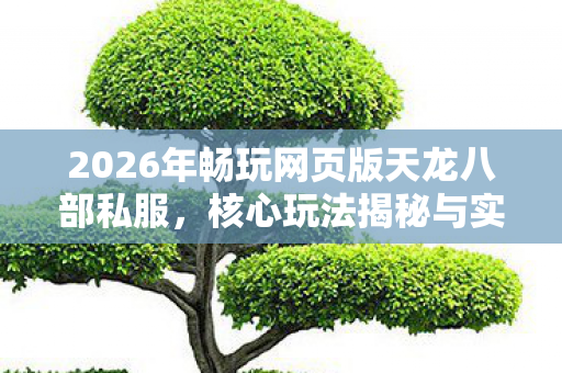 2026年畅玩网页版天龙八部私服图片