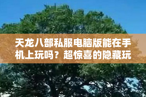 天龙八部私服电脑版能在手机上玩吗图片