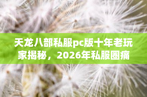 2026年私服圈痛点与解决方案天龙八部私服图片
