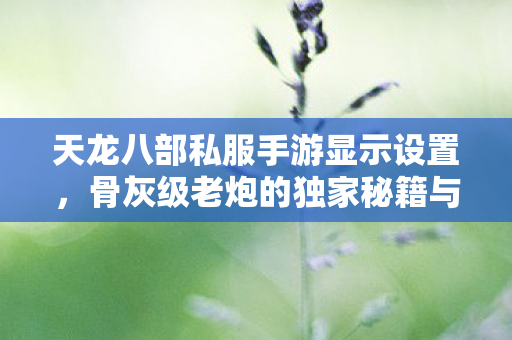 骨灰级老炮的独家秘籍与热血回忆天龙私服图片