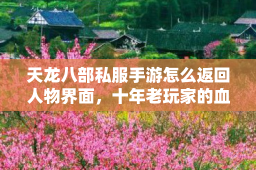 十年老玩家的血泪经验与最新动态分享天龙私服图片