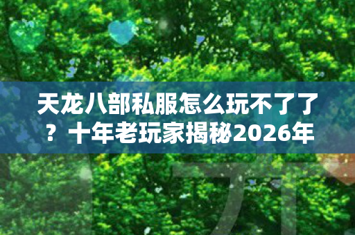 十年老玩家揭秘2026年私服圈最新动态天龙私服图片