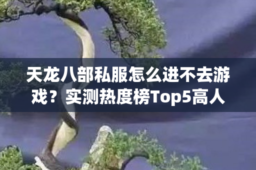 天龙八部私服怎么进不去游戏图片