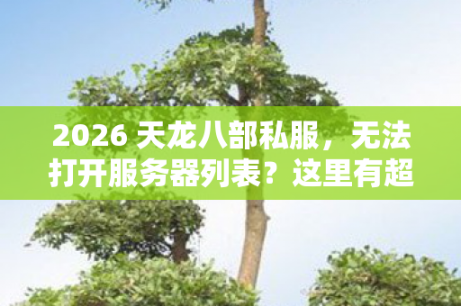 2026 天龙八部私服图片