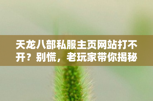 老玩家带你揭秘隐藏玩法与新手友好秘籍天龙私服图片