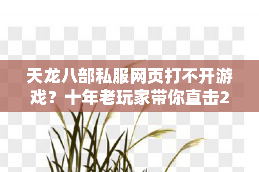 十年老玩家带你直击2026年私服圈真相天龙私服图片
