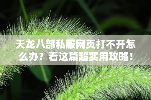 天龙八部私服网页打不开怎么办图片