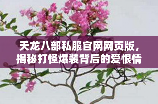 揭秘打怪爆装背后的爱恨情仇与奇妙体验天龙私服图片