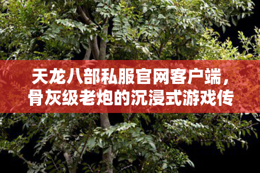 骨灰级老炮的沉浸式游戏传奇天龙八部私服图片